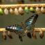 Organizational Change Management