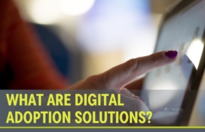 Digital Adoption Solutions